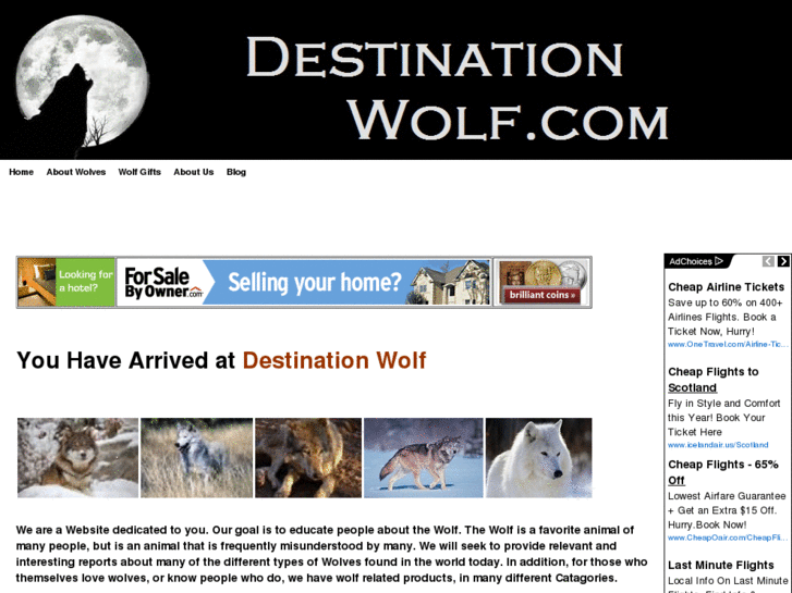 www.destinationwolf.com