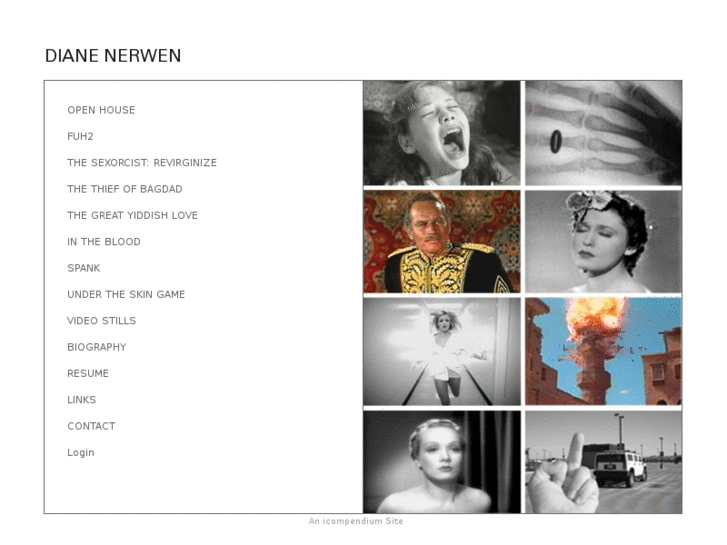 www.dianenerwen.com