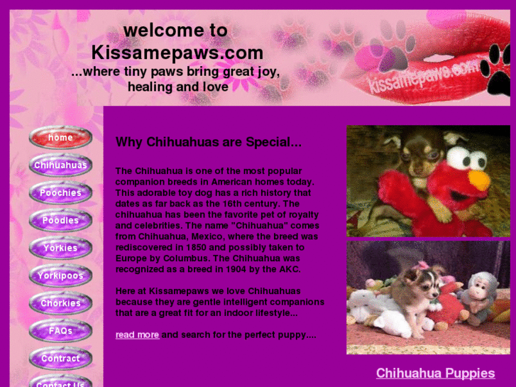 www.kissamepaws.com