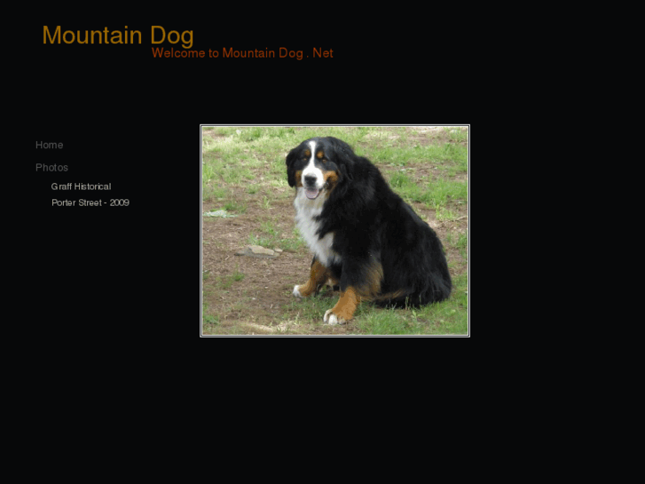 www.mountain-dog.net