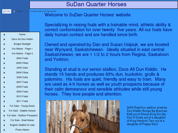 www.sudanquarterhorses.com