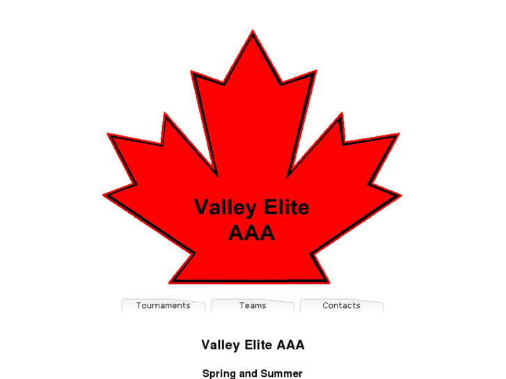 www.valleyeliteaaa.com