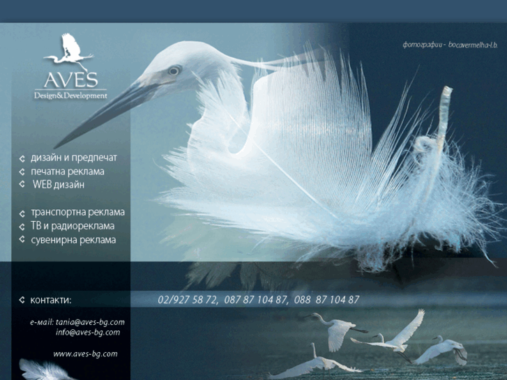 www.aves-bg.com