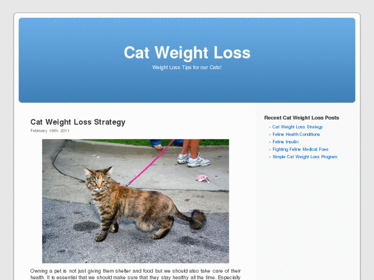 www.catweightloss.org