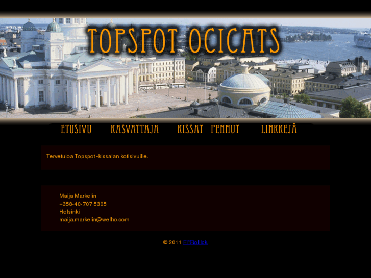 www.topspot-ocicats.com