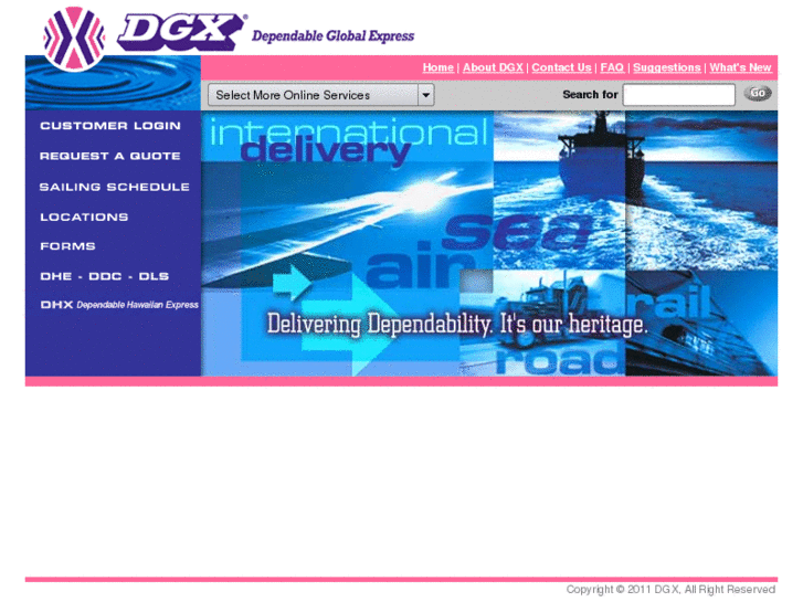 www.dgxshipping.com