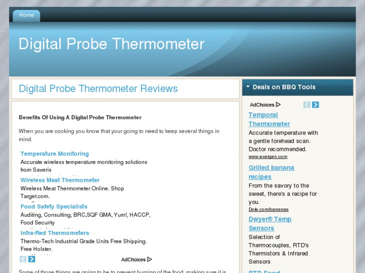 www.digitalprobethermometer.org
