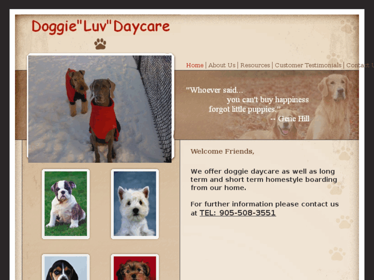 www.doggieluvdaycare.com