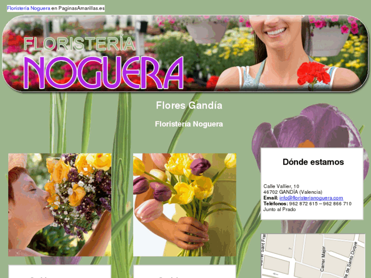 www.floristerianoguera.com