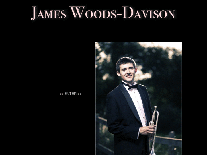 www.jameswoodsdavison.com