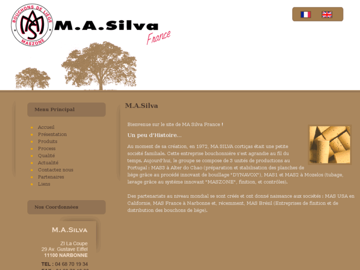 www.masilvafrance.com