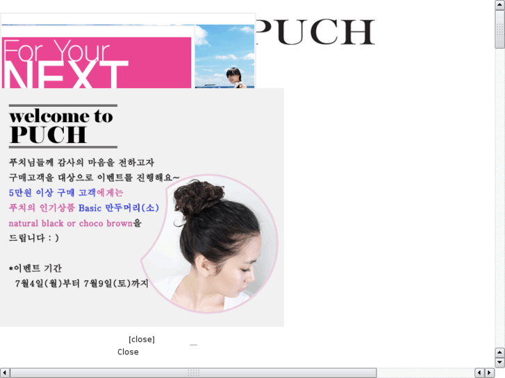 www.puch.co.kr