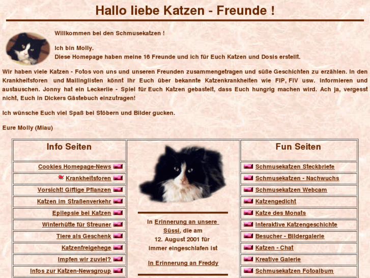 www.schmusekatzen.com