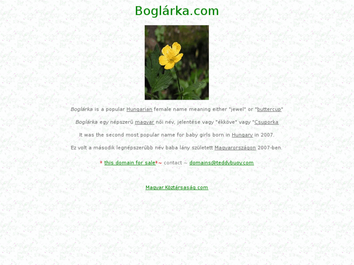 www.xn--boglrka-kwa.com