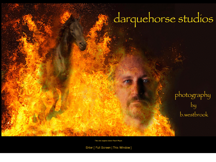 www.darquehorsestudios.com