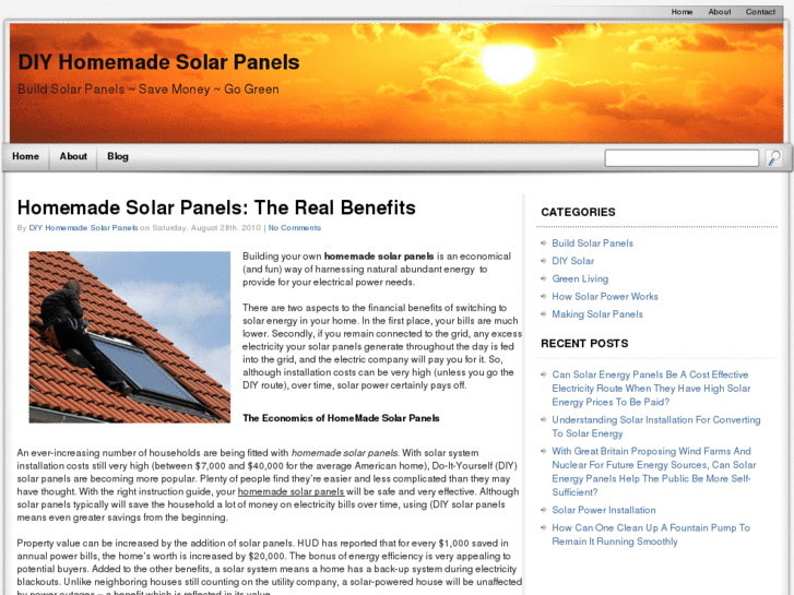 www.diyhomemadesolarpanels.net