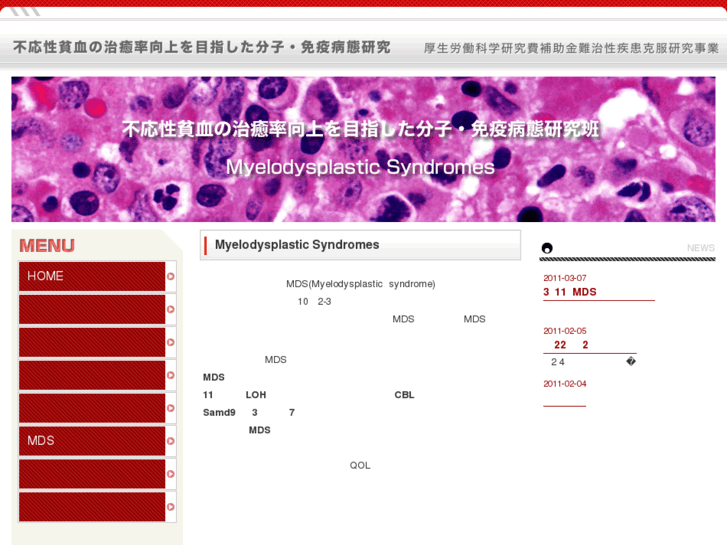 www.mdsresearch.net