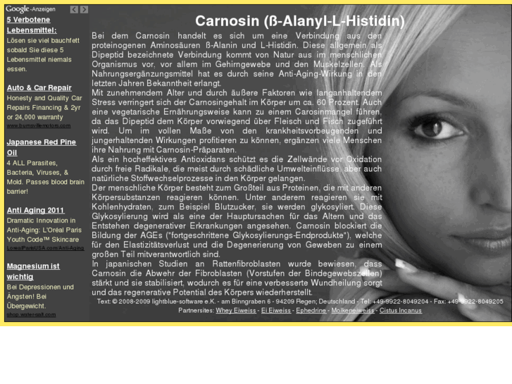 www.carnosin.net