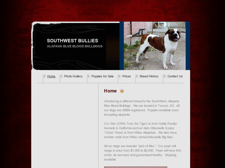 www.southwestbullies.com