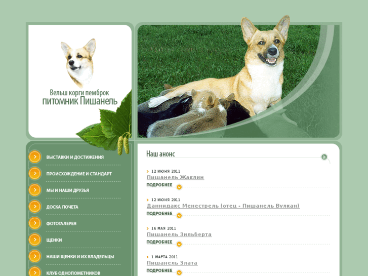 www.corgi.ru