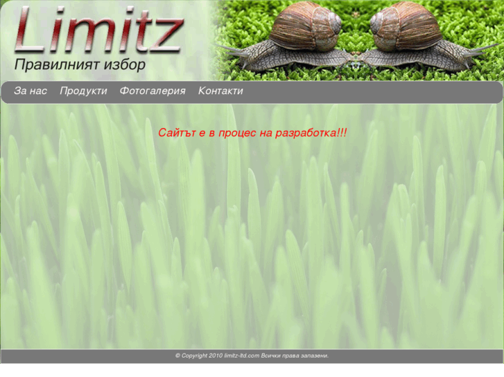 www.limitz-ltd.com