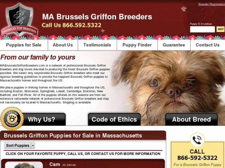 www.mabrusselsgriffonbreeders.com