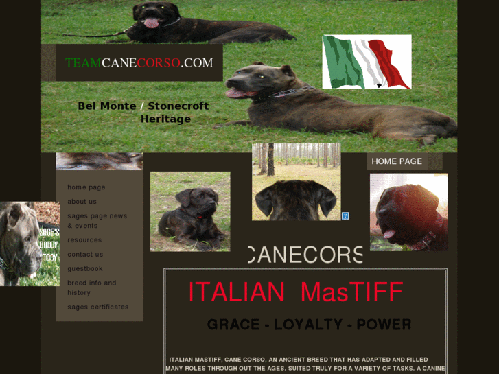 www.teamcanecorso.com