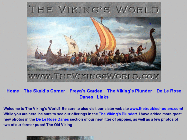 www.thevikingsworld.com