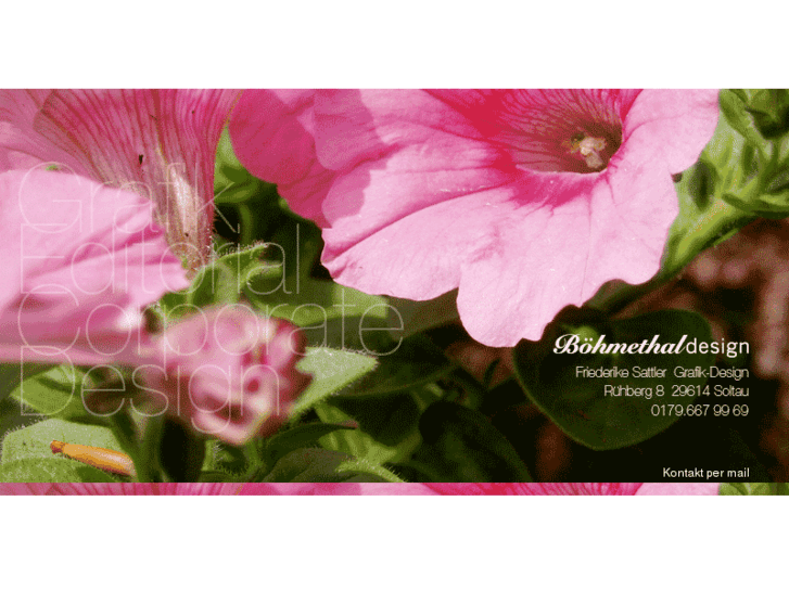 www.friederike-sattler-design.com