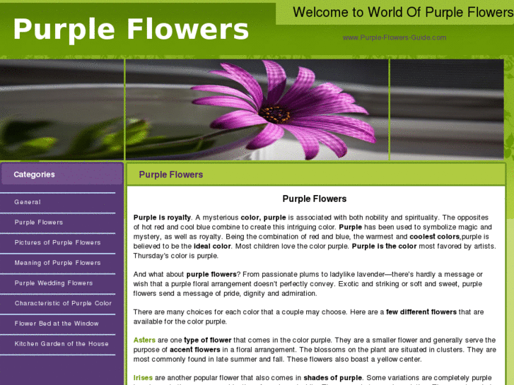 www.purpleflowers-cs.com