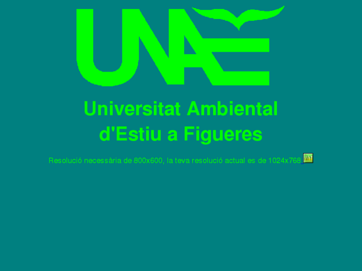 www.unae.org
