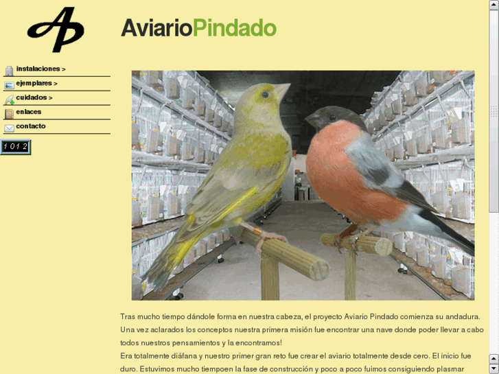 www.aviariopindado.com