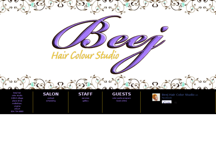 www.beejhaircolorstudio.com