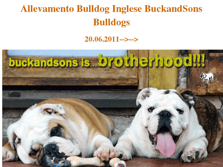 www.buckandsonsbulldogs.com