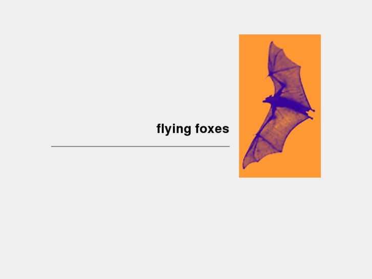 www.flyingfoxes.co.uk