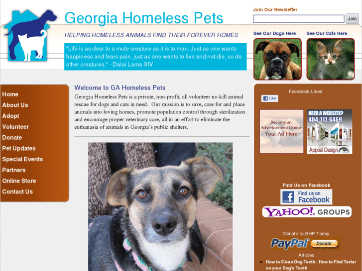 www.gahomelesspets.com