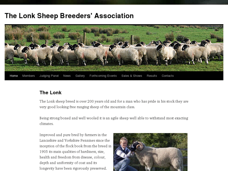www.lonk-sheep.org