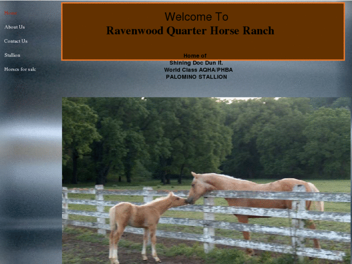 www.ravenwoodquarterhorses.com