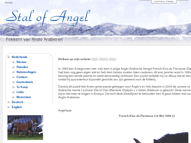 www.stal-of-angel.com