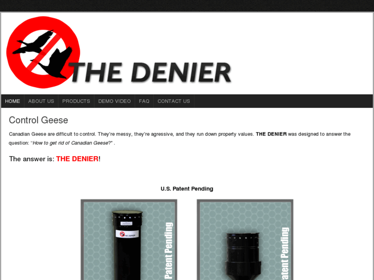 www.thedenier.com