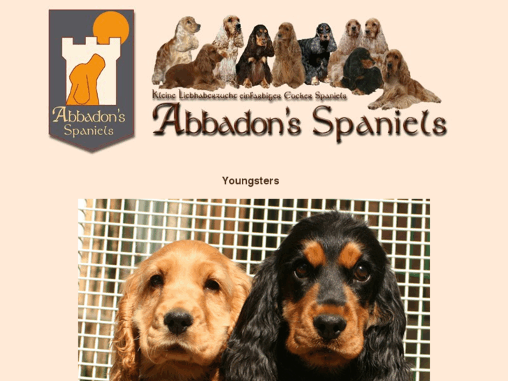 www.abbadons-spaniels.net