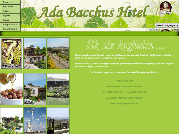 www.adabacchus.com