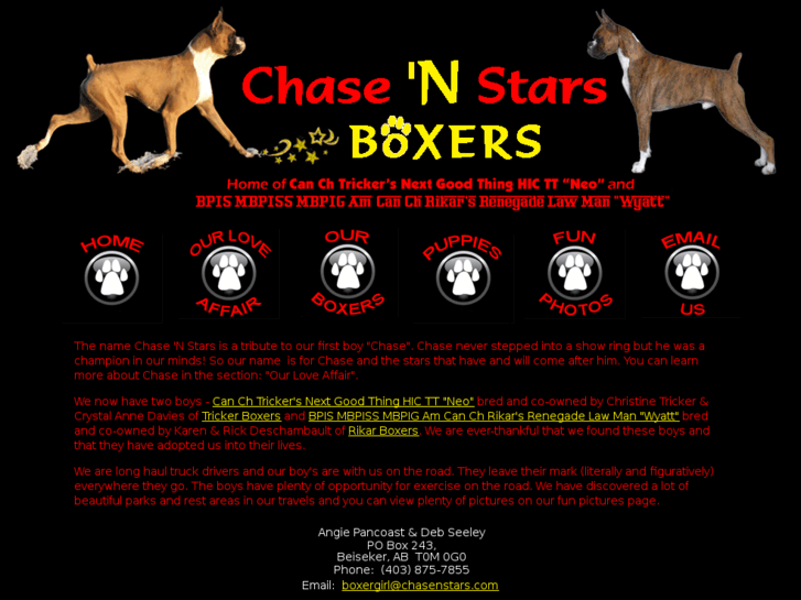 www.chasenstars.com