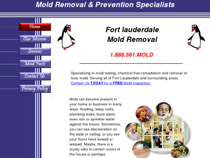 www.fortlauderdalemoldremoval.com