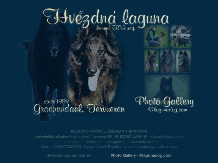 www.lagunadog.com