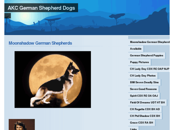 www.moonshadowgsd.com