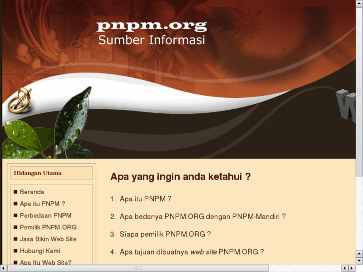 www.pnpm.org