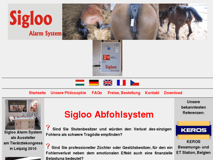 www.sigloo.net