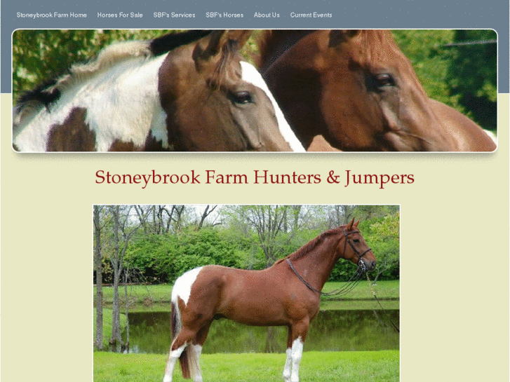 www.stoneybrookfarmohio.com