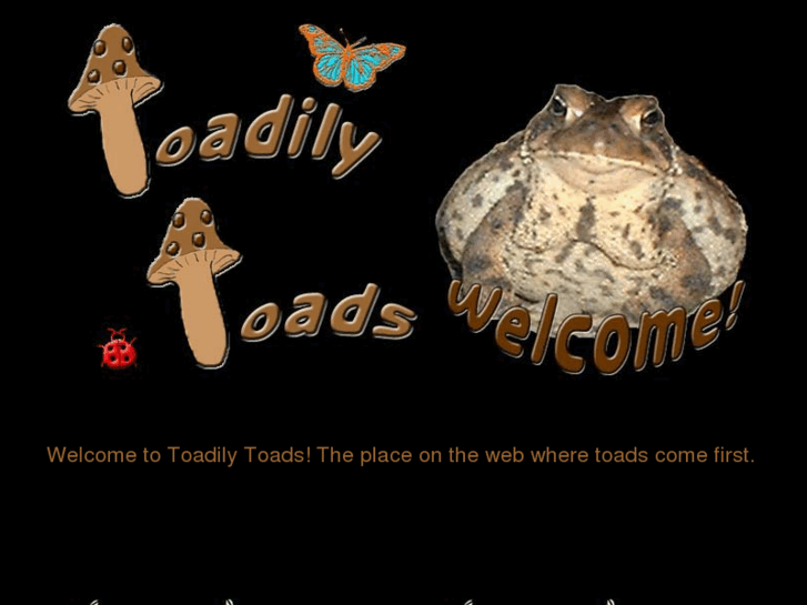 www.toadilytoads.com